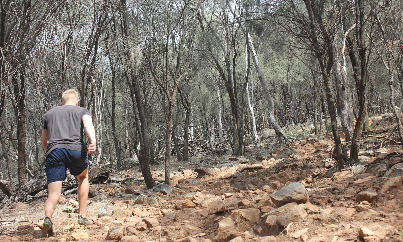 Ain't No Mountain High Enough