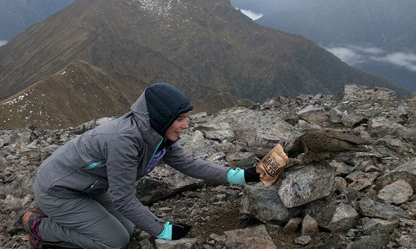 The Kea Bird is my God