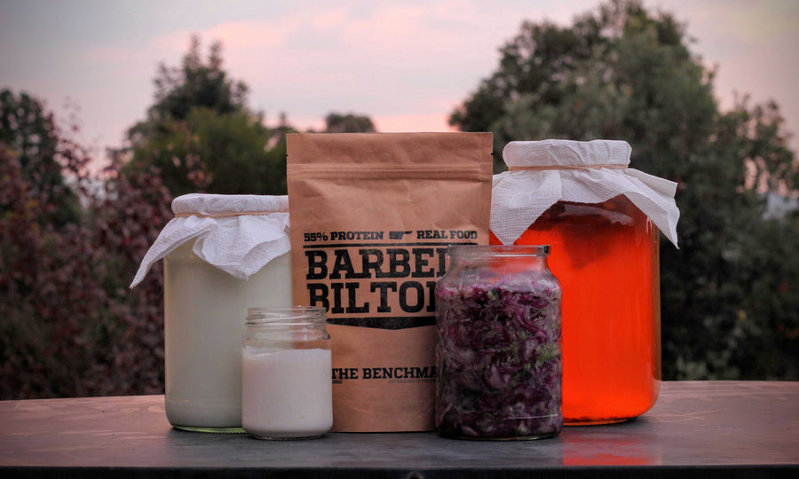 Gut Health