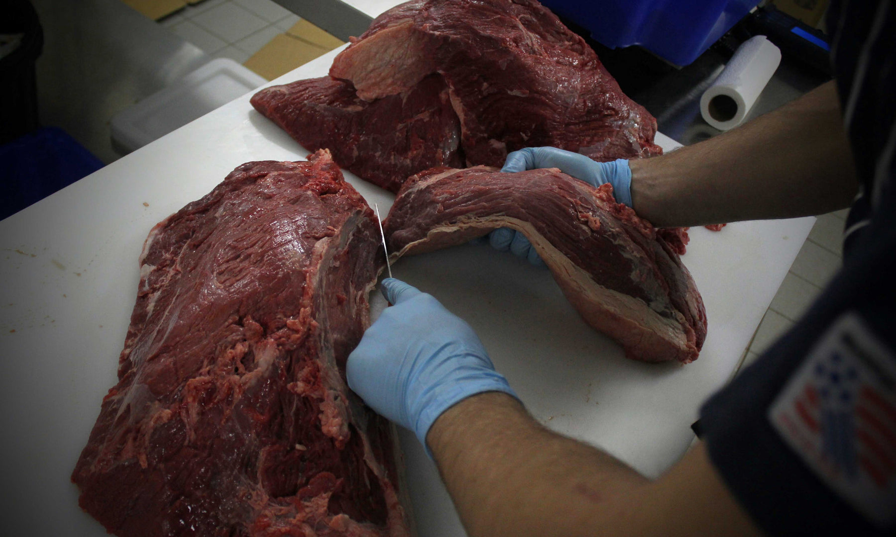 Step One: Removing Sinew and the Eye